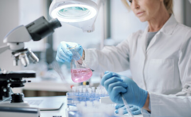 Wall Mural - researcher working in the laboratory