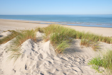 Canvas Print - Sand dunes of Quend-Plage village in Hauts-De-France region