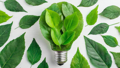 Wall Mural - green eco friendly lightbulb from fresh leaves top view. energy saving, ecology and environment sust