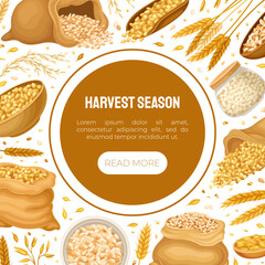 Wall Mural - Grain Cereal Banner Design with Natural Crop Harvest Vector Template