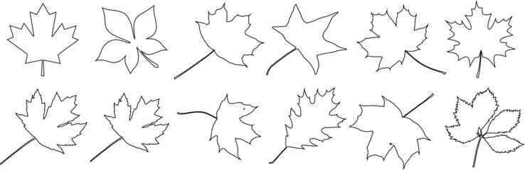 Wall Mural - autumn leaves outline vector art. detailed, unique leaf shapes, perfect for fall designs, patterns, 