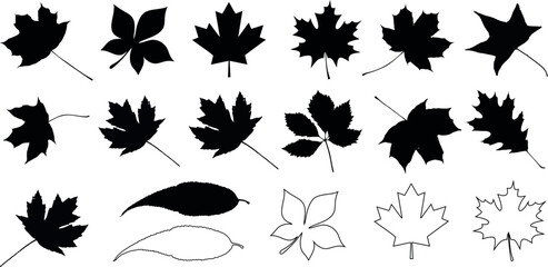 autumn leaves vector, black silhouettes, maple, oak, seasonal design elements, nature themes, fall d