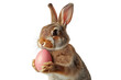 Cute Easter bunny holding pink easter egg isolated on white or transparent background
