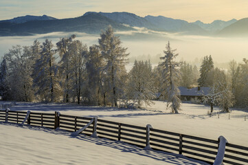 Wall Mural - Winterland