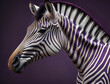 weiß lila gestreiftes Zebra