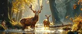 Fototapeta  - Nature wildlife scene with majestic brown deer in forest wild animals portrait in wilderness beautiful male stag with antlers standing alert in autumn landscape among pine trees and grass