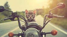 Cute Kitty Driving Sports Motorcycle, Funny Animal On Motorcycle. AI Generative