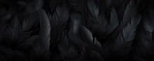 Dark Black Feathers Background As Beautiful Abstract Wallpaper Header
