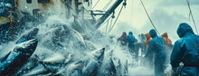 Off Loading Fresh Caught Tuba Fishes At Harbor. Slight Motion Blur.  Northern Ocean Fishery, Fishing Industry. 