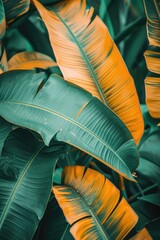 Poster - A close up view of a bunch of green leaves. This image can be used to represent nature, foliage, plants, or environmental concepts