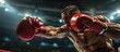 © Ilgun - Boxer in a boxe competition beats his opponent. Copy space image. Place for adding text