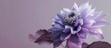 A Beautiful Purple Gradient Flower With A Leaf Overtop Of It. Copy Space Image. Place For Adding Text