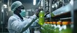 African male factory worker wearing medical mask picking up green juice bottle or basil seed drink for checking quality in beverage factory. Copy space image. Place for adding text