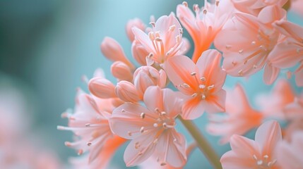 Aufkleber - A close-up view of a bunch of pink flowers. Perfect for adding a pop of color to any project or design