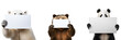 Panda, polar bear, and grizzly bear in a set, each holding a blank paper mockup, Isolated on Transparent Background, PNG