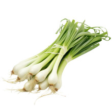 spring onions on transparent background;