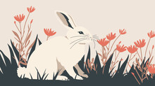 Rabbit In The Grass