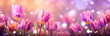 abstract background, close-up pink tulips and daffodils, light bronze and violet, light red and light gold