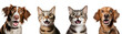 Collection of Close-up Portraits of Surprised Crazy Pets, Including a Dog and Cat, Adorable Animals, Isolated on Transparent Background, PNG