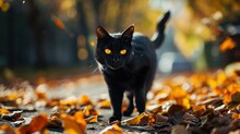A Black Cat With Yellow Eyes Walking Through Orange Autumn Leaves. Created With Generative Ai Technology.
