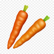 Carrot. Vector 3d clipart isolated on transparent background.