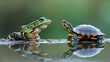 frog vs turle