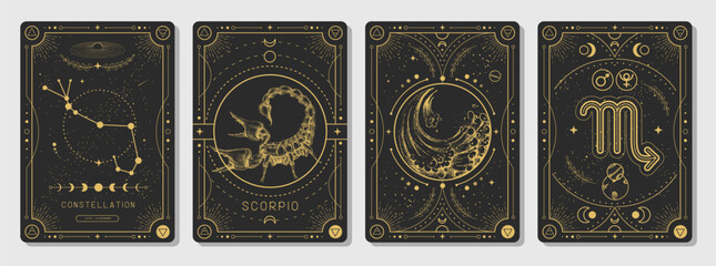 Wall Mural - Set of Modern magic witchcraft cards with astrology Scorpio zodiac sign characteristic. Vector illustration
