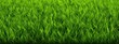 close up grass football field, soccer field for banner design 