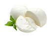 mozzarella cheese and basil on transparent or white background
