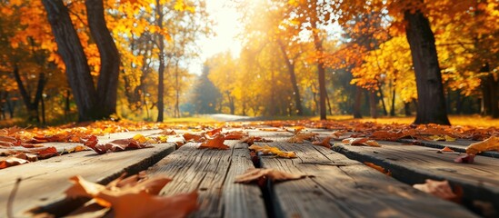Wall Mural - Beautiful colorful natural autumn background Wooden flooring on the background of a blurred autumn park. Copy space image. Place for adding text or design