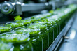 working process of production of pesto to glass jar food and vegetable factory