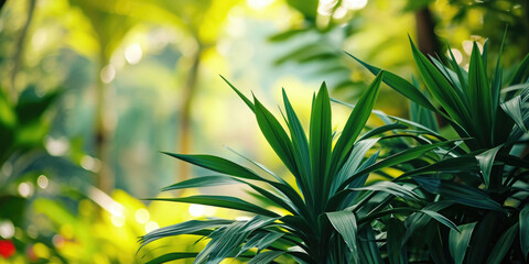 Poster - A close-up view of a bunch of vibrant green plants. Perfect for adding a touch of nature to any project or design