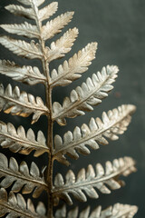 Poster - A close-up view of plant leaves. This image captures the intricate details and textures of the leaves. Perfect for botanical illustrations or nature-themed designs