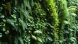 © Suleyman - Natural green background and wallpaper, herb wall, plant wall, nature wall, and green forest background