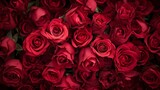 Fototapeta Kwiaty - bouquet of red roses, close up, love, valentine, background , bunch