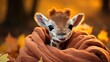 baby giraffe wearing knitted scarf . Portrait of funny animal on outdoor autumn park, close up with copy-space. Generative AI