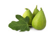 Many ripe green figs with leaf isolated on white