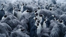 Penguins Embracing Unity In Icy Harmony - AI-Generative