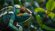 Close-up of a curious chameleon blending into its surroundings, illustrating the adaptability and camouflage skills of these reptiles, animals, chameleon, hd, with copy space