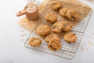 Wall Mural - Healthy breakfast cookies with oats and dry cranberry