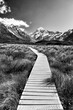 NZ Mt Cook Boardwalk plain vert BW