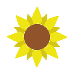 Poster - Sunflower