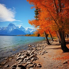 Lake McDonald, In The Fall, You'll See Trees Changing Color And Snowcapped Mountains 