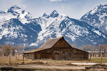 The iconic TA Moulton Barn along Morman Row with the majestic Grand Tetons in the background