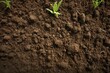 Textured ground with fertile soil. Generative AI