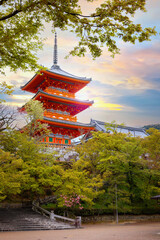 Sticker - Kiyomizu-dera temple sunrise during full bloom cherry blossom in Kyoto, Japan