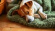 Sleeping dog cuddled up in a plush green blanket in a home setting