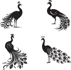 Wall Mural - Set of Peacock black silhouette 