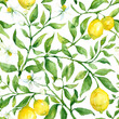 Summer pattern with lemon branch. Background with citrus fruits and flowers, seamless watercolor background.