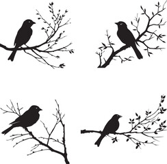 Wall Mural - Set of Sparrow bird on branch black silhouette on white background